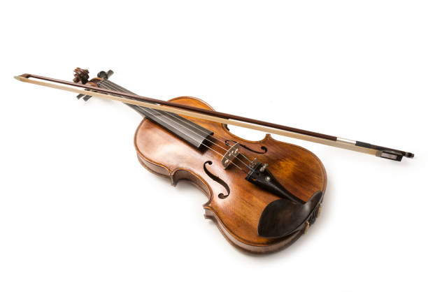 Violin 4